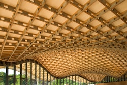 A view of the timber gridshell roof