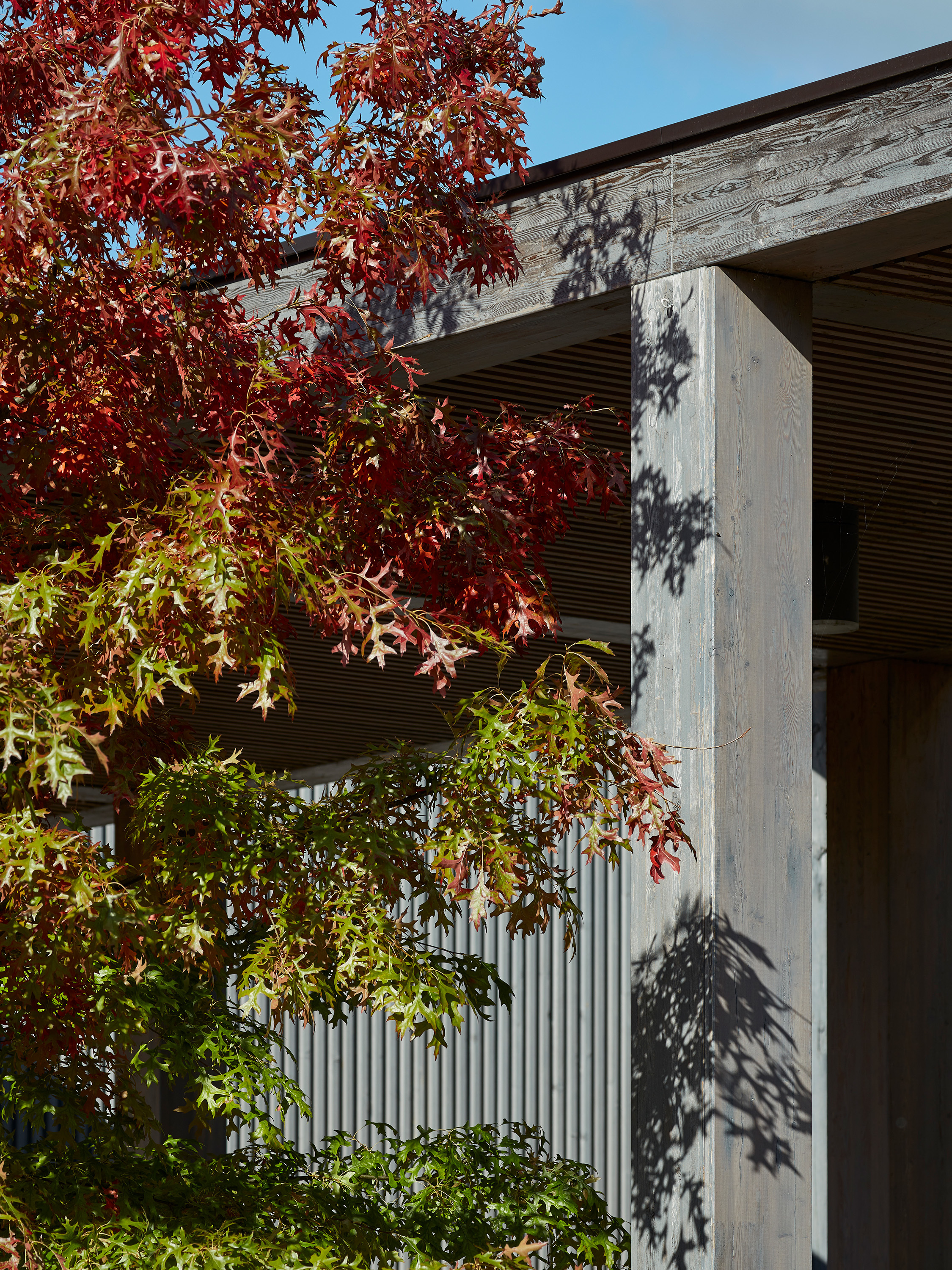 An image showing landscape and materiality