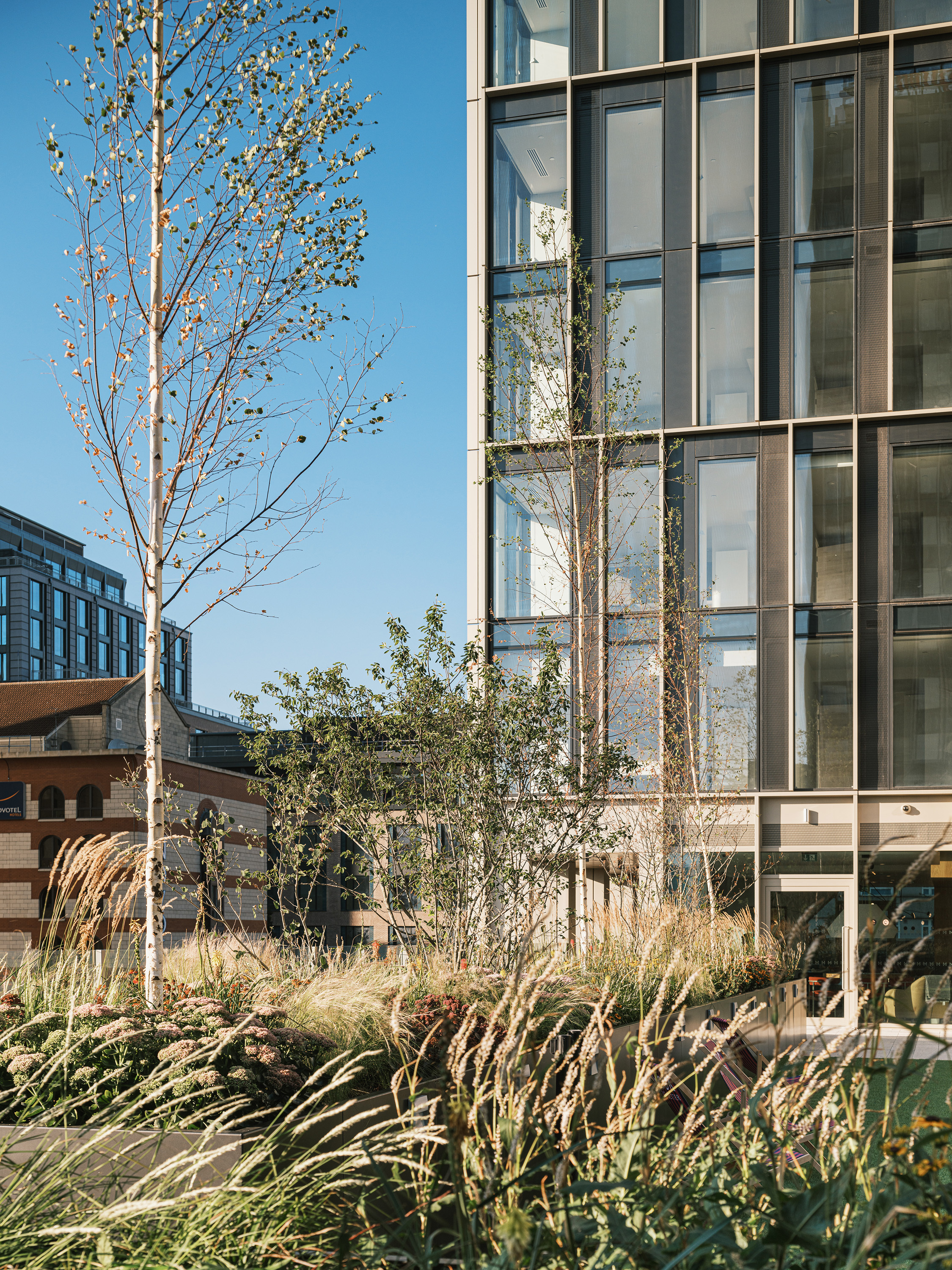 View of the landscaped podium garden