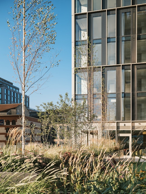 View of the landscaped podium garden