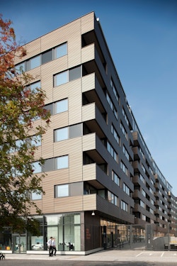 View from Amelia Street